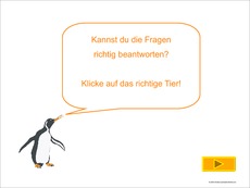 Fragen-Antworten-Tiere-2.pdf